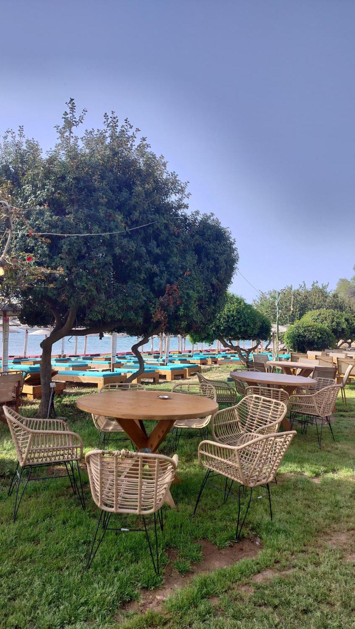 Cap Sounion Seafront Apartments -Adults Only Ngoại thất bức ảnh