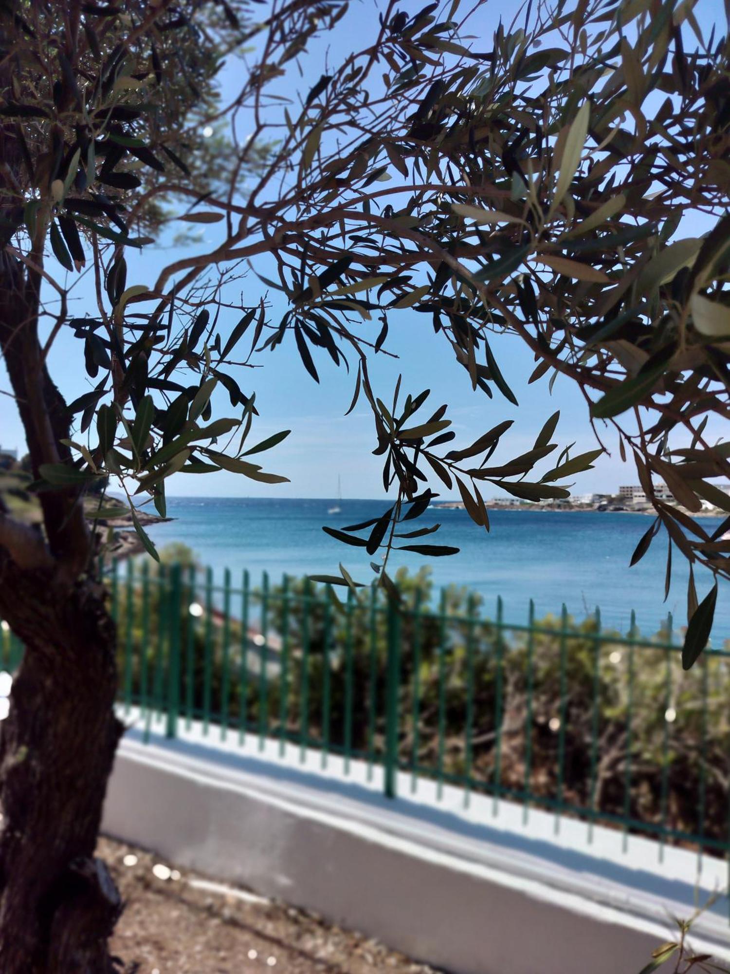 Cap Sounion Seafront Apartments -Adults Only Ngoại thất bức ảnh