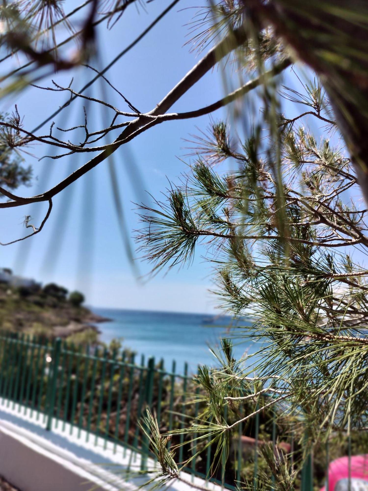 Cap Sounion Seafront Apartments -Adults Only Ngoại thất bức ảnh